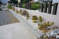 Various cacti grow on a flower bed in September. Rhodes Island, Greece Royalty Free Stock Photo