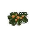 Plants in isometric style. Cartoon tropical bush with orange flowers. Isolated image of jungles nature