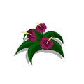 Plants in isometric style. Cartoon tropical bush with purple flowers. Isolated image of jungles nature