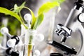 Plants and laboratory Royalty Free Stock Photo