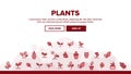 Collection Different Plants Sign Icons Set Vector