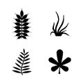 Plants, Leafs, Flora. Simple Related Vector Icons Royalty Free Stock Photo