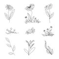 Vector set of twigs with leaves and flowers drawn