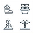 plants line icons. linear set. quality vector line set such as palm tree, tulip, tulips
