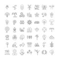 Plants linear icons, signs, symbols vector line illustration set Royalty Free Stock Photo