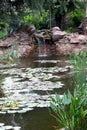 Plants and man-made waterfall in the pond