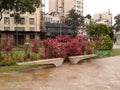 Plants in Maua square Rio de Janeiro Downtown Brazil Royalty Free Stock Photo