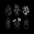 Plants - minimalist and simple silhouette - vector illustration Royalty Free Stock Photo