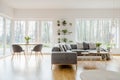 Plants in natural apartment interior Royalty Free Stock Photo