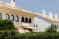 Plants near buildings with white facades