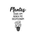 Plants: these never disappoint me in Portuguese. Lettering. Ink illustration. Modern brush calligraphy