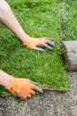Plants new sod grass Royalty Free Stock Photo