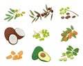 Plants and Nuts or Seeds, Hair Oils Ingredients