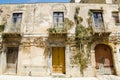 Plants on the old building in Castelvetrano, Sicil Royalty Free Stock Photo