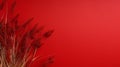 Professional Red Background With Decorative Dried Grasses