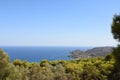 Plants and panorama from Aphaia temple in Egina in Greece Royalty Free Stock Photo
