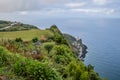 Plants in a park located on a cliff overlooking the Arnel lighthouse, SÃ£o Miguel - Azores PORTUGAL Royalty Free Stock Photo