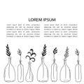 Plants, place for text, hand drawn background. Decorative illustration, branches in bottles