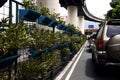 Plants in plant boxes placed on a fence along a public road