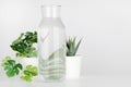 Plants in pots distorted through water in bottle on white background. Home decor, eco friendly, relax concept Royalty Free Stock Photo