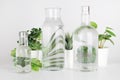 Plants in pots distorted through water in bottle on white background. Home decor, eco friendly, relax concept Royalty Free Stock Photo