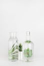 Plants in pots distorted through water in bottle on white background. Home decor, eco friendly, relax concept Royalty Free Stock Photo