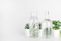 Plants in pots distorted through water in bottle on white background. Home decor, eco friendly, relax concept Royalty Free Stock Photo