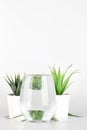 Plants in pots distorted through water in glass on white background. Home decor, eco friendly, relax concept Royalty Free Stock Photo