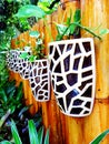 Plants pots are hanging on the bamboo wall Royalty Free Stock Photo