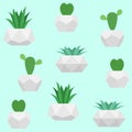 Plants in pots seamless vector pattern. Cactuses and succulents flowers background for fabric print design