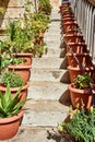 Plants in pots on the steps of an Orthodox monastery Royalty Free Stock Photo