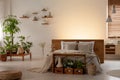 Plants and pouf in dark bedroom interior with light behind wooden bed with headboard. Real photo Royalty Free Stock Photo