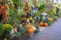 Plants, pumpkins and seasonal decorations create an inviting entrance to a business in Dahlonega, Georgia Royalty Free Stock Photo