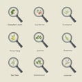 Plants research icons. Royalty Free Stock Photo