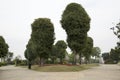 Trees and roads arranged in Nanning Five Elephants Lake park