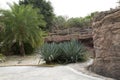 Plants , rocks and alley arranged in the spring park Royalty Free Stock Photo