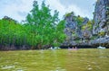 The plants and rocks of Ko Thalu Ok Island, Phang Nga Bay, Thailand Royalty Free Stock Photo