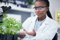 Plants, scientist or black woman writing for inspection, cannabis research or sustainability innovation. African person