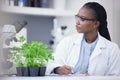 Plants, scientist or black woman writing for research, cannabis inspection or sustainability innovation. African person Royalty Free Stock Photo