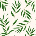 Plants seamless pattern. Green willow branches with leaves