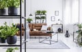 Plants on shelves in white natural flat interior with table on carpet in front of leather couch. Real photo