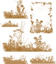 Plants, silhouette