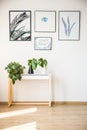Plants on small table Royalty Free Stock Photo