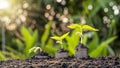 Plants or small trees are growing on piles of coins with increased appearances. Royalty Free Stock Photo