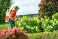 Plants Spraying Insecticide Work in a Garden Royalty Free Stock Photo