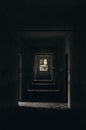 Plants take over this scary dark hallway in an old abandoned haunted building Royalty Free Stock Photo