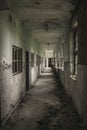 Plants take over this scary hallway in an old abandoned haunted building