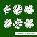 Plants theme. Silhouettes of tropical palm leaves, monstera, jungle leaves, leaves maple, oak, chestnut.