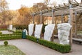 Plants and trees in a park or garden covered with blanket, swath of burlap, frost protection bags or roll of fabric