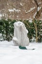 Plants and trees in a park or garden covered by the snow and blanket, swath of burlap